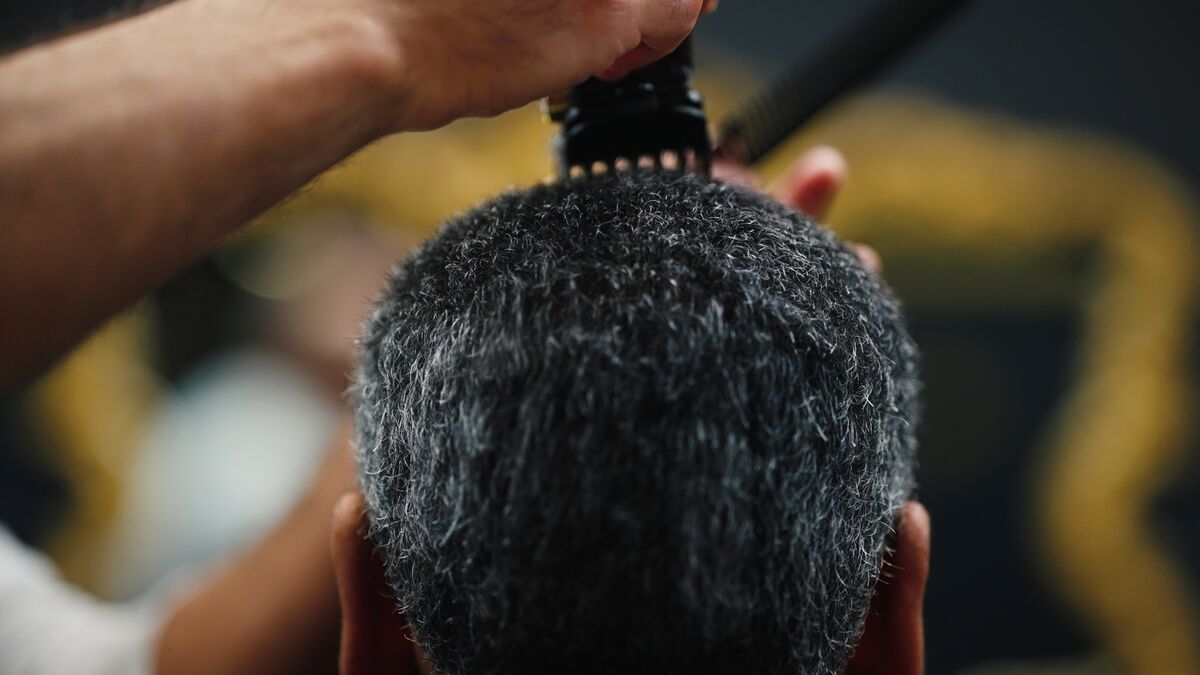 Barberholic Style 31